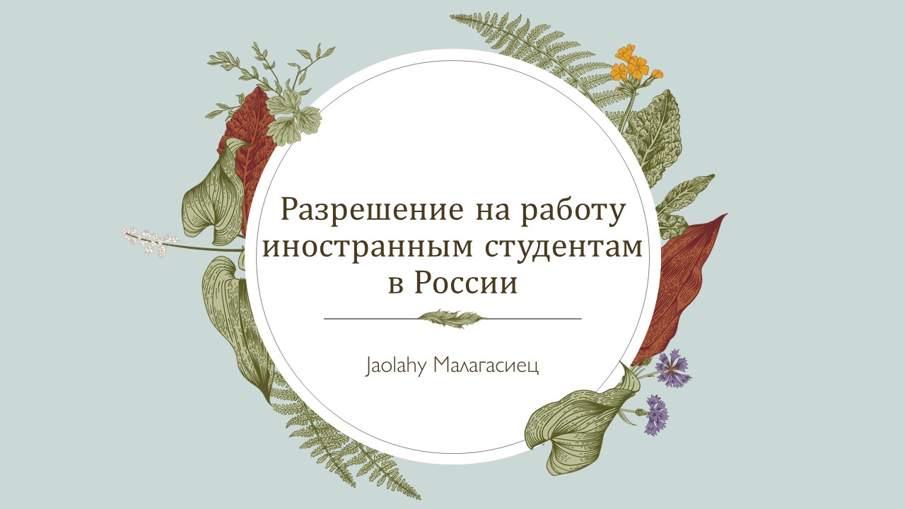 Разрешение на работу иностранным студентам в России