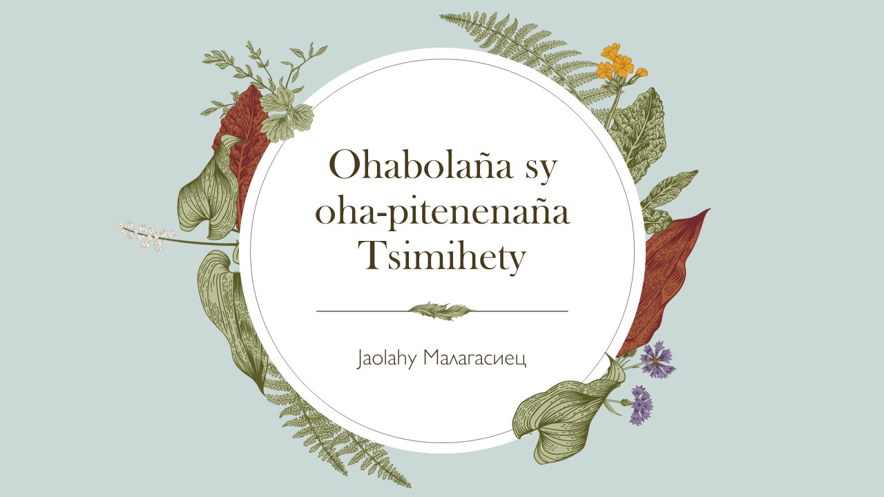 Ohabolaña sy oha-pitenenaña Tsimihety